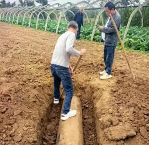 临潼菜农挖出金代经幢，唐宋元明金几乎凑齐！临潼菜农挖出的这件石刻，文物部门初