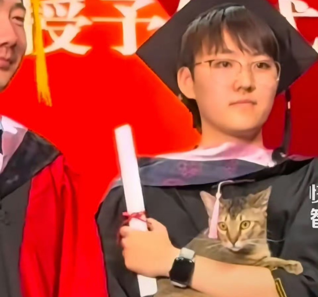 毕业典礼上女生抱猫咪上台拨穗虽然我也养猫，但这种行为多少有些哗众取宠了吧？​​