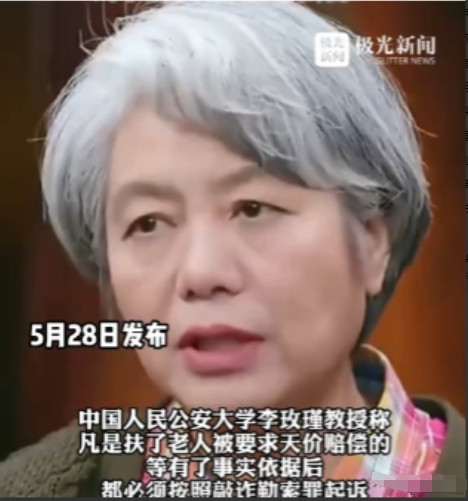 扶老人反被讹？李玫瑾教授重磅提议：恶意索赔就罚到倾家荡产！