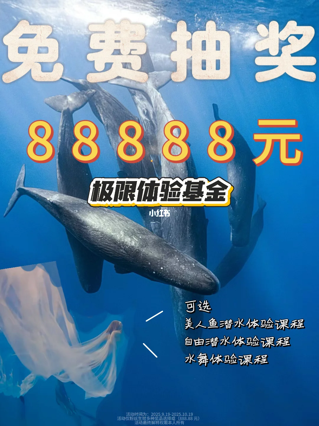 【恭喜你🎉】承包你的人生新体验🎁🧧