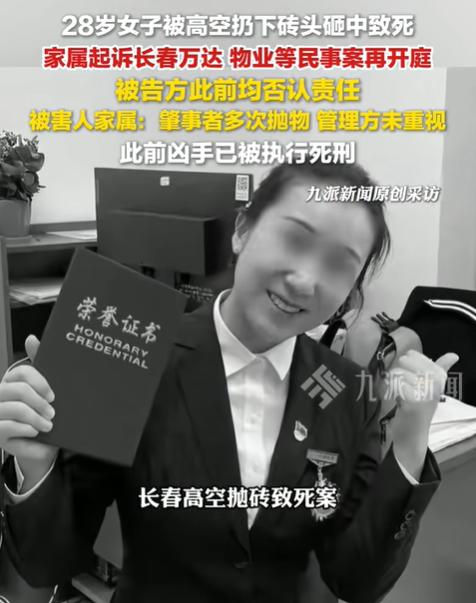 “必须严惩！”吉林长春，一28岁的女律师路过某万达广场楼下夜市，一块砖头从32楼