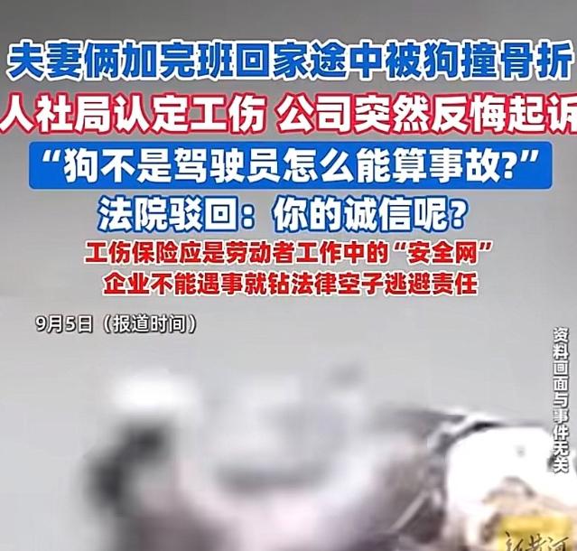 广东广州，一对夫妻加班到晚上九点多，骑电动车下班回家，半路突然窜出一条流浪狗，把