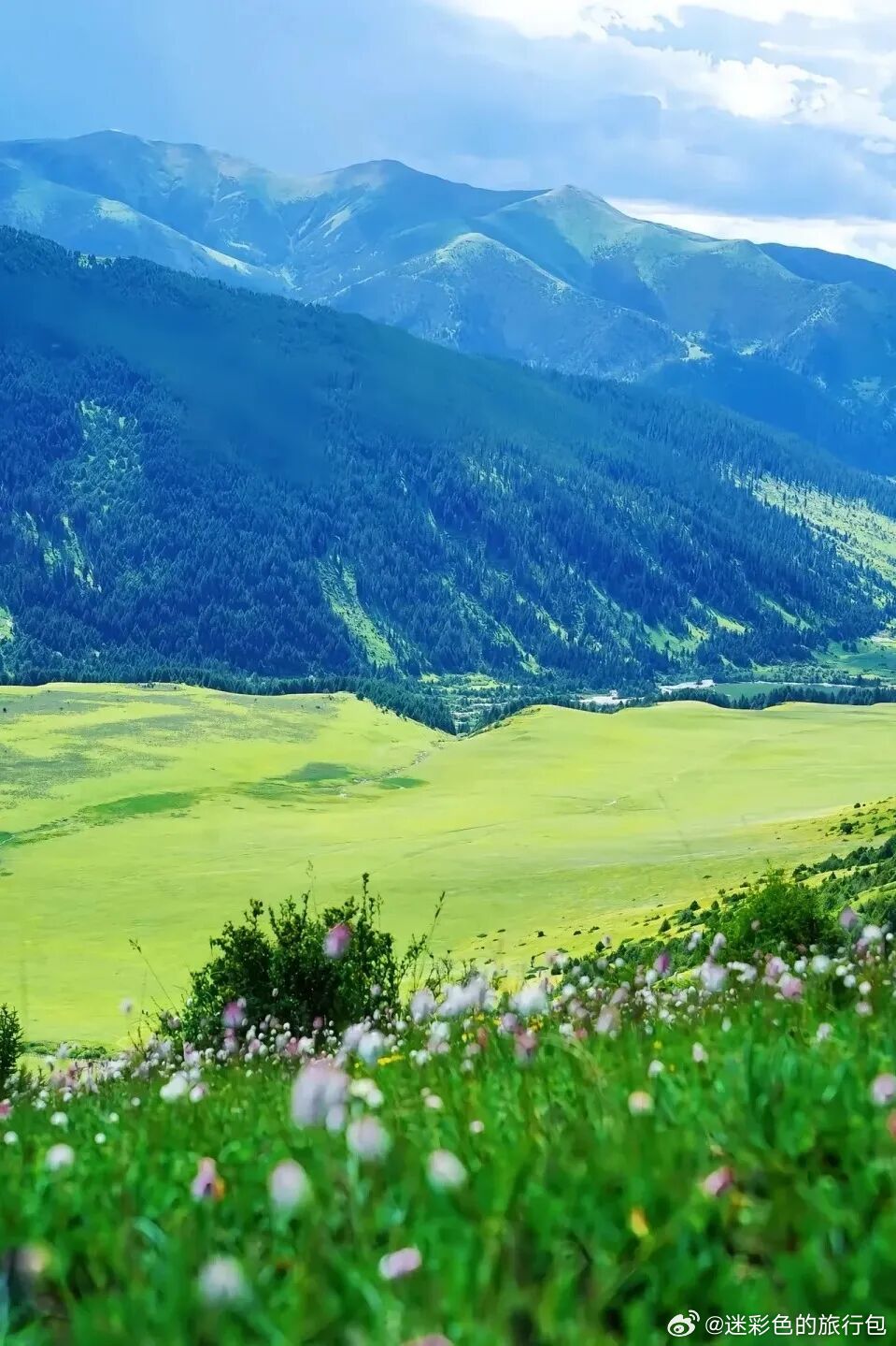 川西私藏的玉科大草原太治愈啦！雪山环抱林海草甸，夏日野花漫山、湖水澄澈，还有天然
