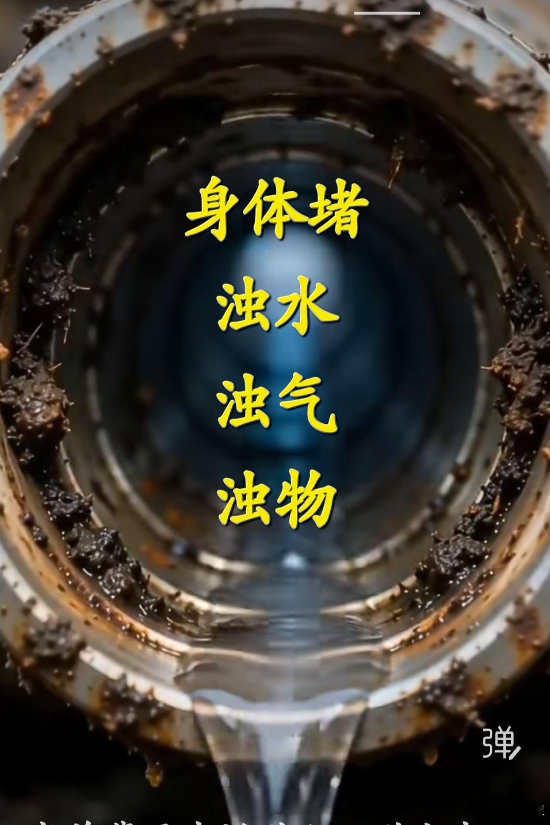 老前辈早告诉世人：世上本无病，全是瘀和堵！思想堵、肠道堵、尿道堵、血管堵、经络堵