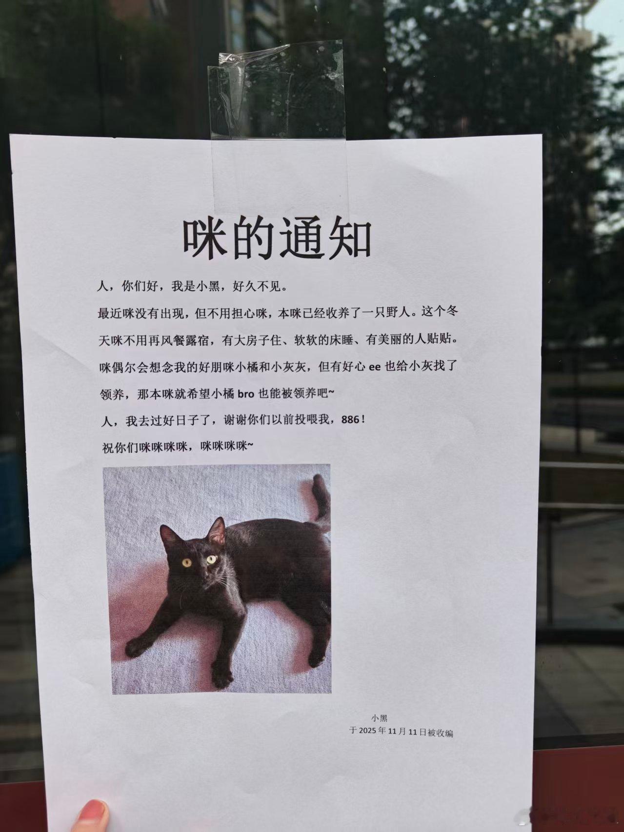 这也太可爱了8️⃣