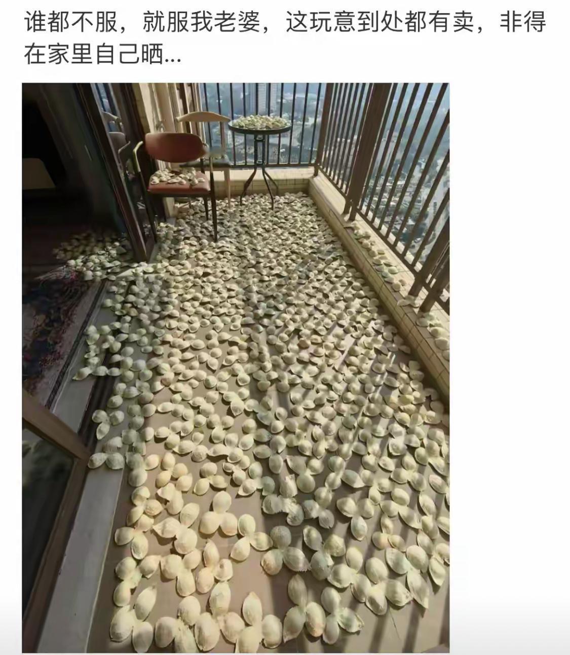 你们能看出这晒的是什么吗？