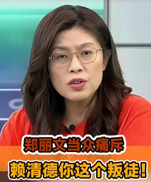 郑丽文要被抓？她会成为下一个柯文哲吗？郑丽文会不会被抓，现在成了问题。