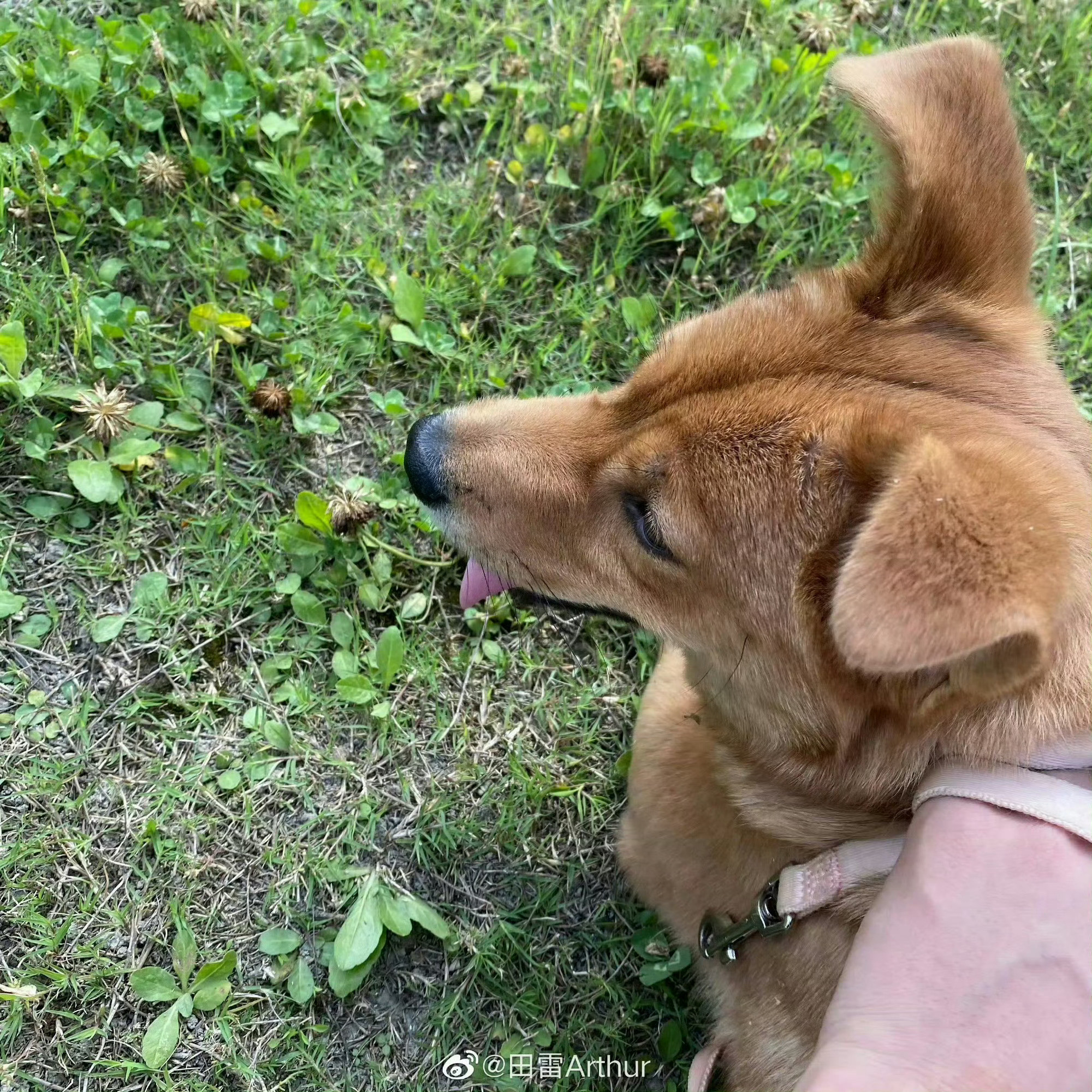 晴天一个霹雳接一个霹雳⚡