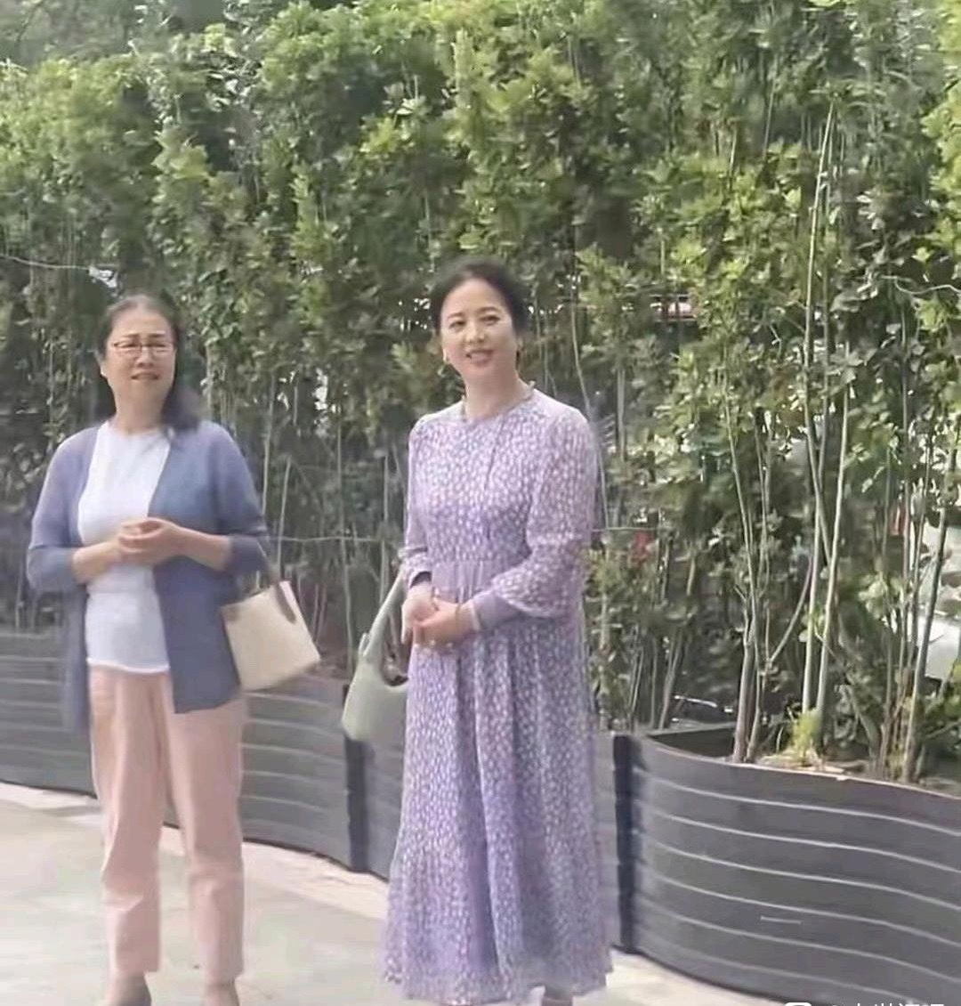 刘亦菲妈妈被偶遇，都65岁了，保养的挺好的