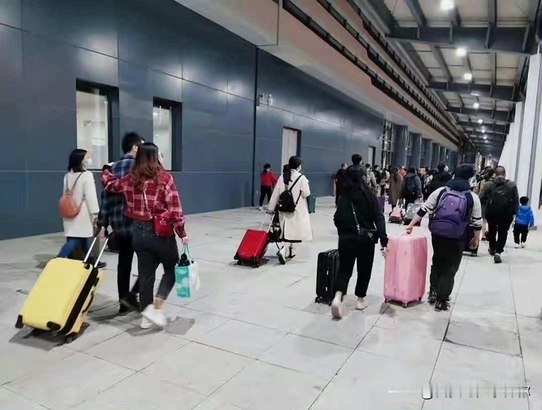 国家这次动静不小！还没到春节，农业农村部就跑到云南楚雄开了个会，专门谈怎么避免