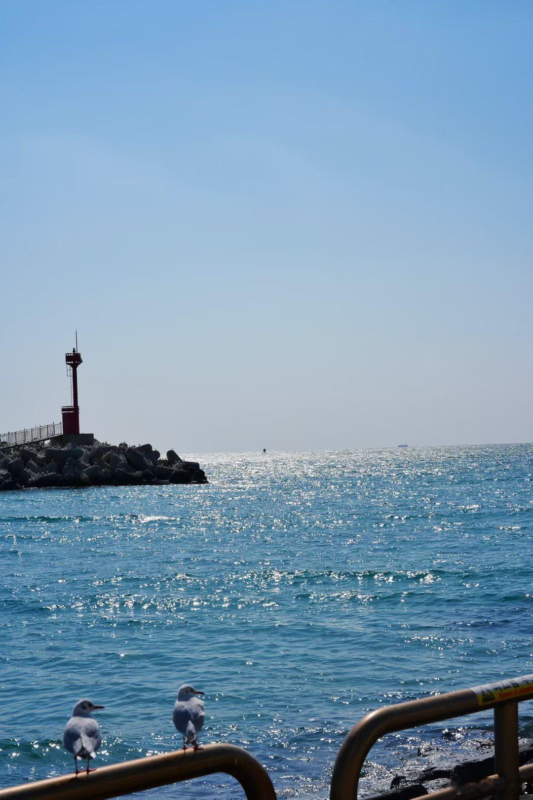 还有谁没有换上这个神仙锁屏吗，简单的壁纸加上几枚小组件，每次亮屏，都是一次Col