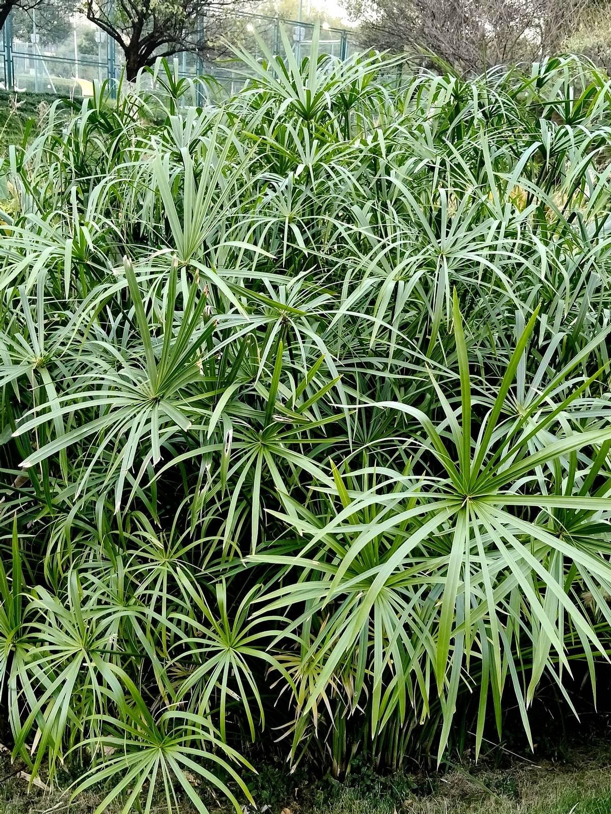 前夫哥打来电话。他打电话来要走旧电脑，我宁可自己送过去也不想见他。这些年孩子