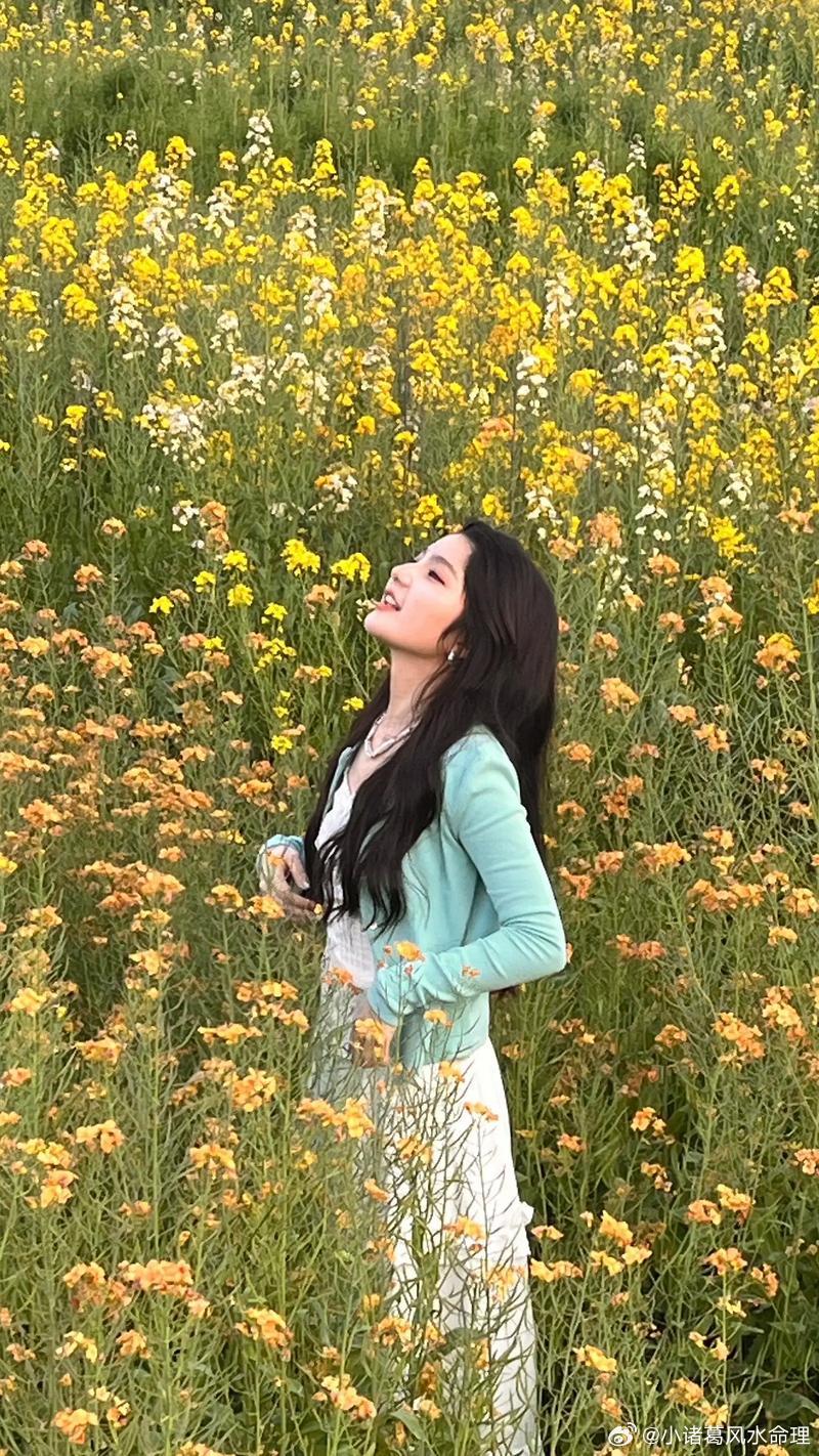 生肖狗属狗人2026年宜合作求财，这一年找对人，跟对人，赚钱就容易多了。通过分工