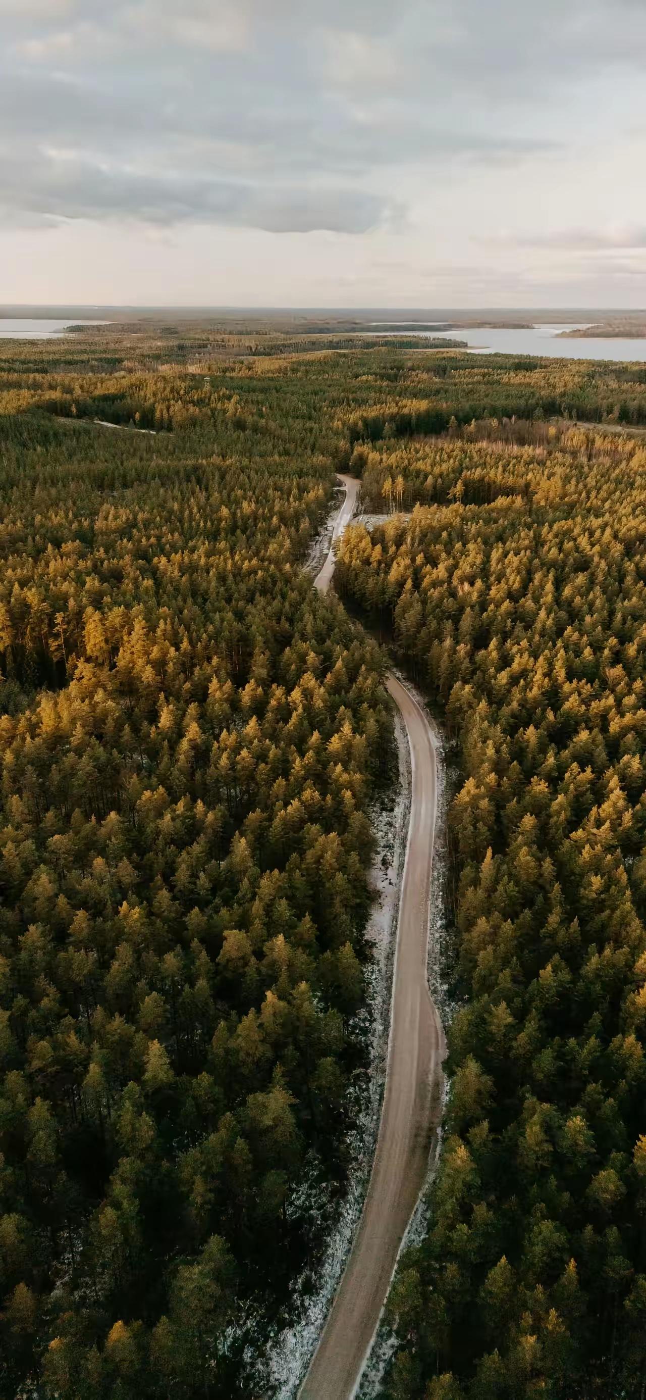 生理学教授说:“男女一旦发生关系，一辈子都忘不掉，但是，男女的忘不掉是不一样的