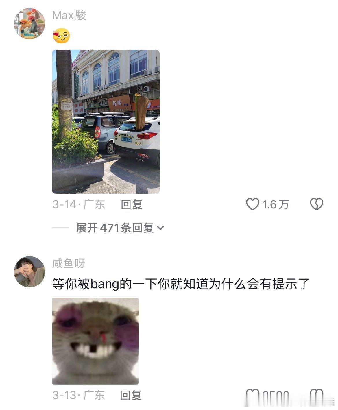 终于知道为什么广东会有落叶提醒了​​​