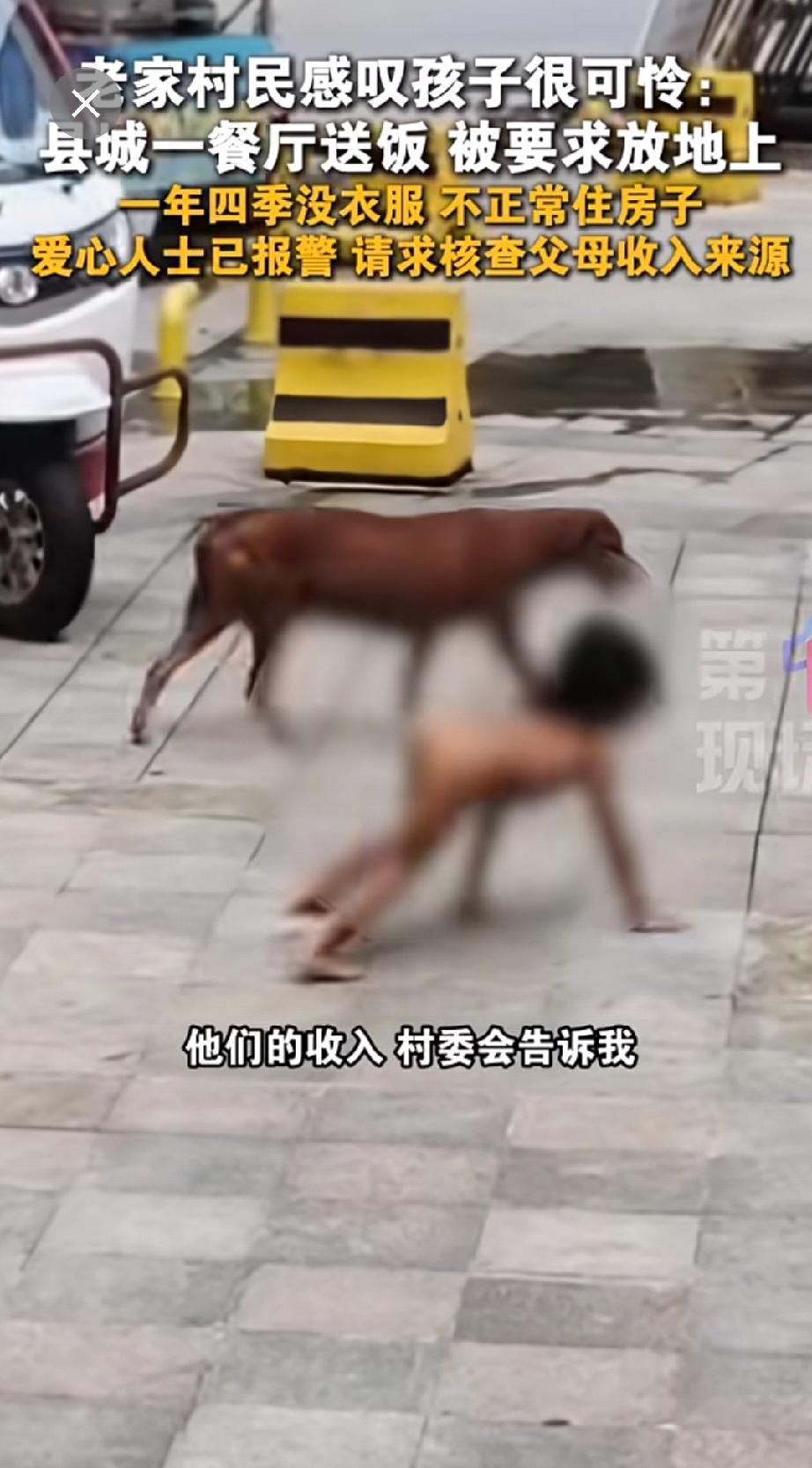 不给穿衣服，不给洗头，不给洗澡，连走路都不给教，四肢爬行，蹲踞着。吃东西都不敢