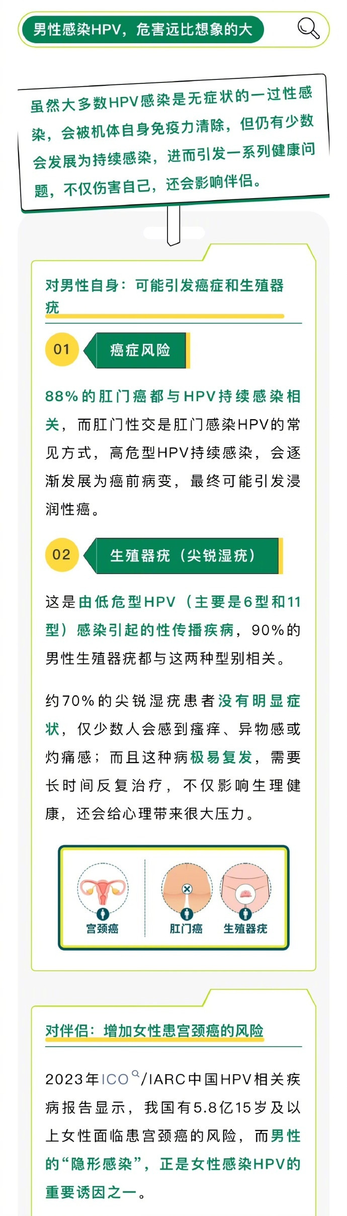 【男性生理结构易感HPV】男生感染HPV身体会怎样很多男性疑惑：“我平时挺注意卫