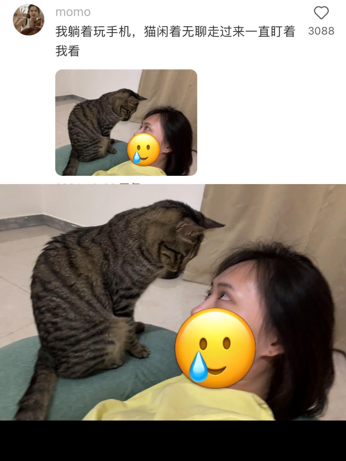 人，咪比想象中的更爱你​​​