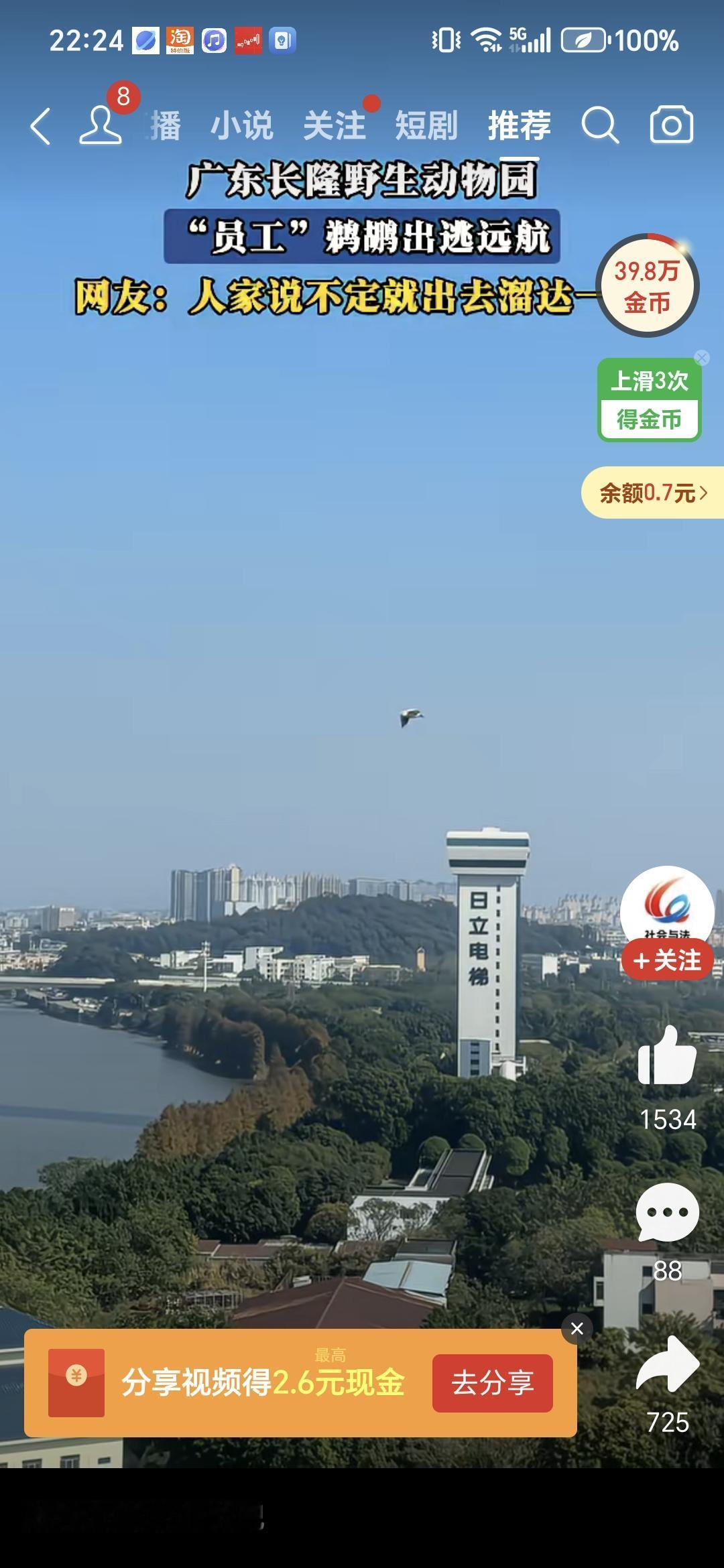 广州长隆动物园出逃的鹈鹕[捂脸哭][捂脸哭]