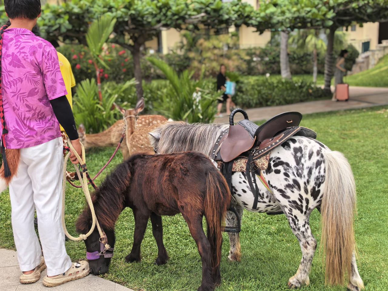 在三亚亚龙湾的海边有一座酒店，名字叫天域酒店，如果你有机会住上一次，你会发现你根