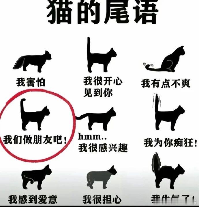 学！宠物卖萌中心​​​