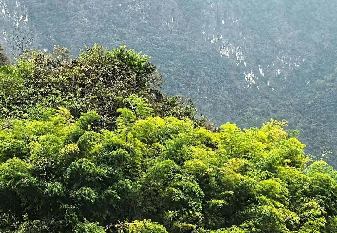 儿子在985大学读医学博士，却能为了女朋友，要和父母断绝关系。真的让人唏嘘!