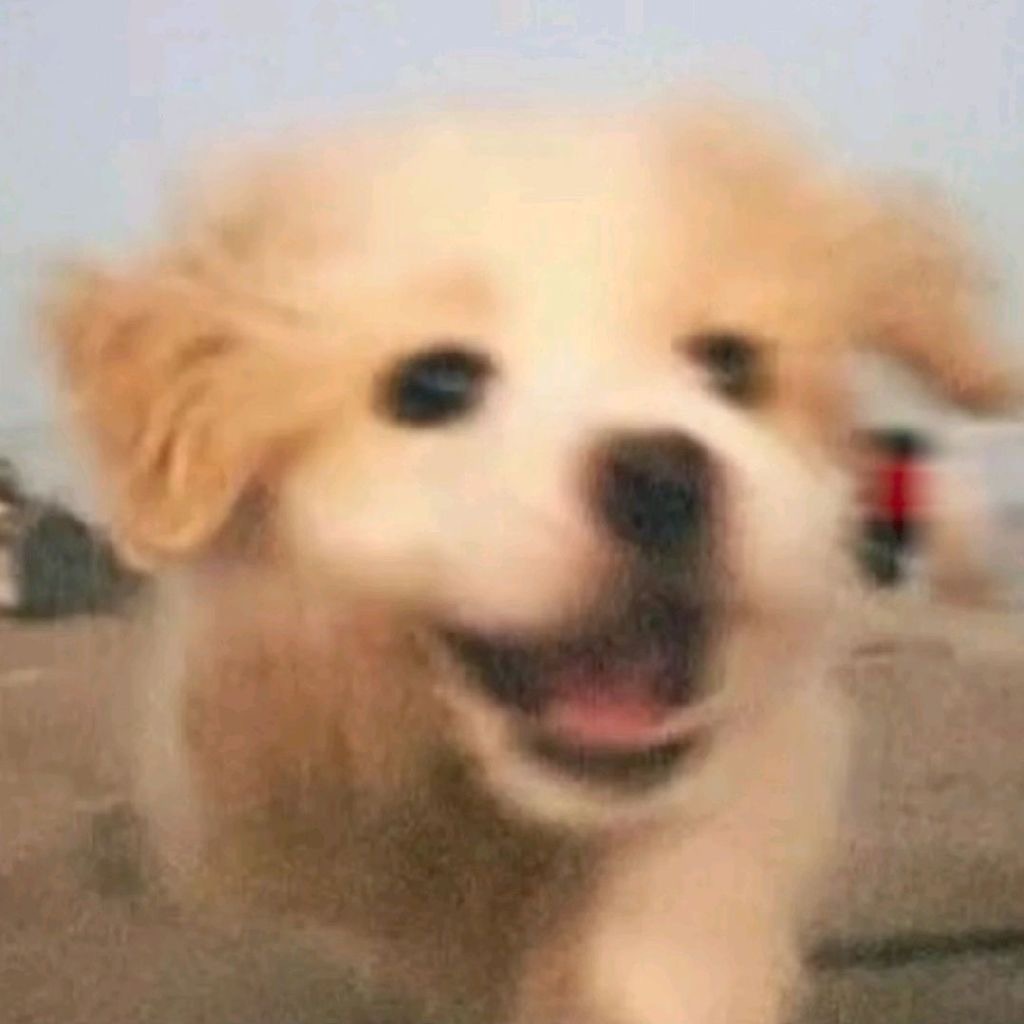 张泽禹换小狗头像张泽禹换了新头像了！这不就是妥妥的自己吗，本人认领狗塑，软萌小