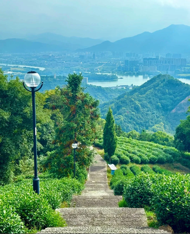 我发现，凡是善良的人，做事厚道，跟人不斤斤计较，甘于吃亏的人，到最后过的都很好，