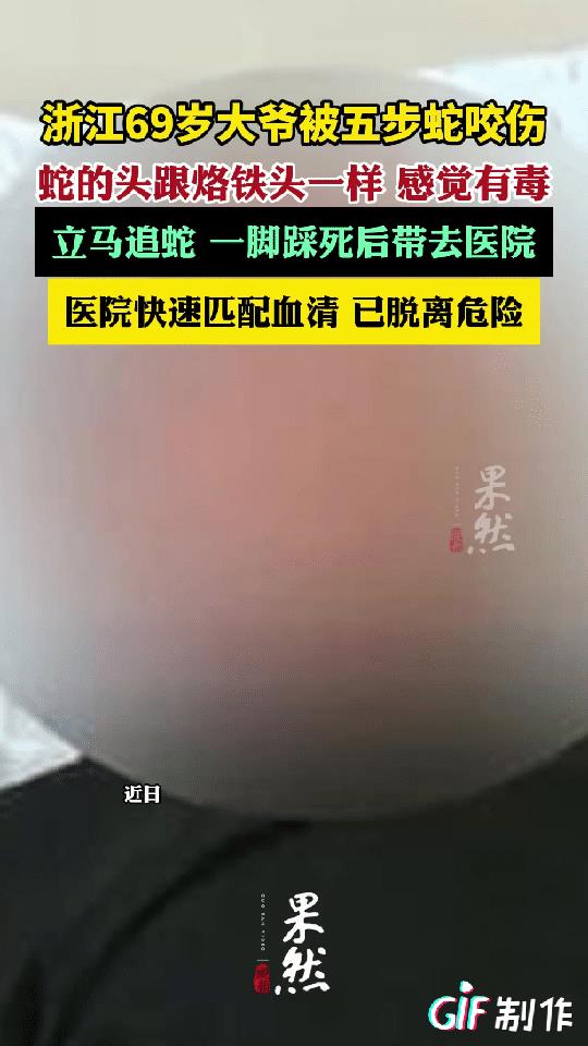 “彻底解释不清了！”浙江，69岁大爷被五步蛇咬了一口，大家都以为超过五步必死无疑