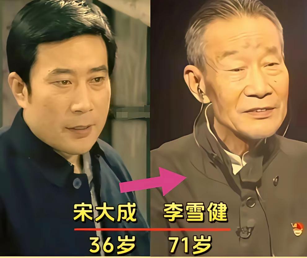 李雪健演的宋大臣很出色。张宇菲演的刘小芳很出色。吴玉华演的肖竹心很出色。张