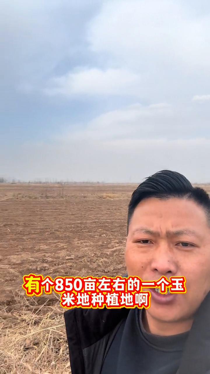 贺兰丰登850亩种植地对外流转。在贺兰丰登镇这边有个850亩左右的玉米地种植地