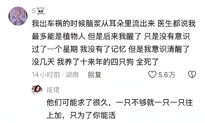 不感谢救ta的医生，感谢狗​​​