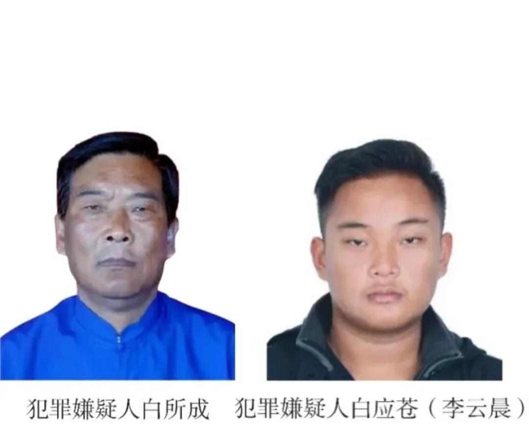 大快人心！白所成、白应苍等5人死刑！父子二人终于得偿所愿，全国皆大欢喜。不过