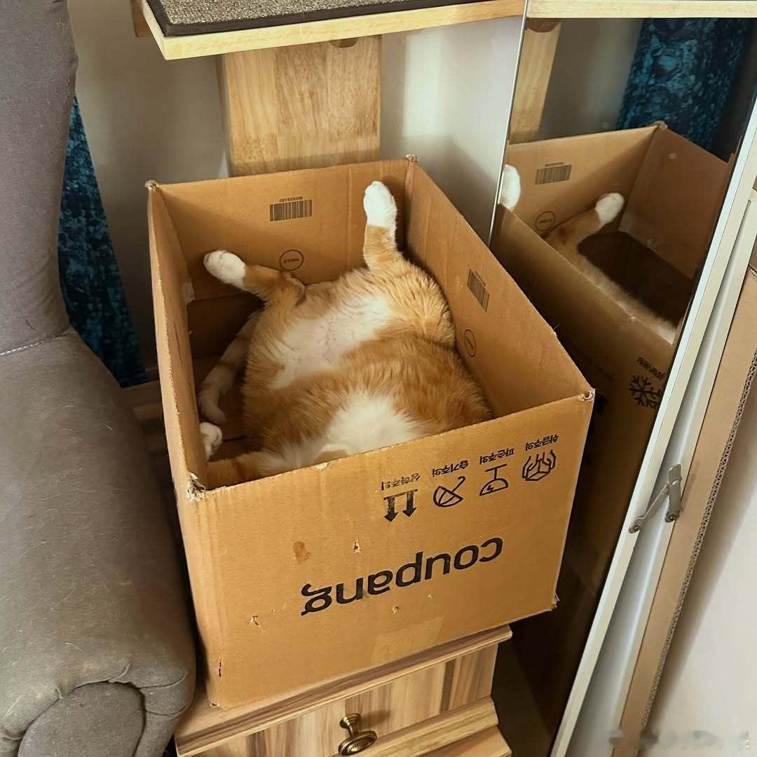 中午的外卖，芝士炸鸡腿🍗cr：ranimandoo​​​