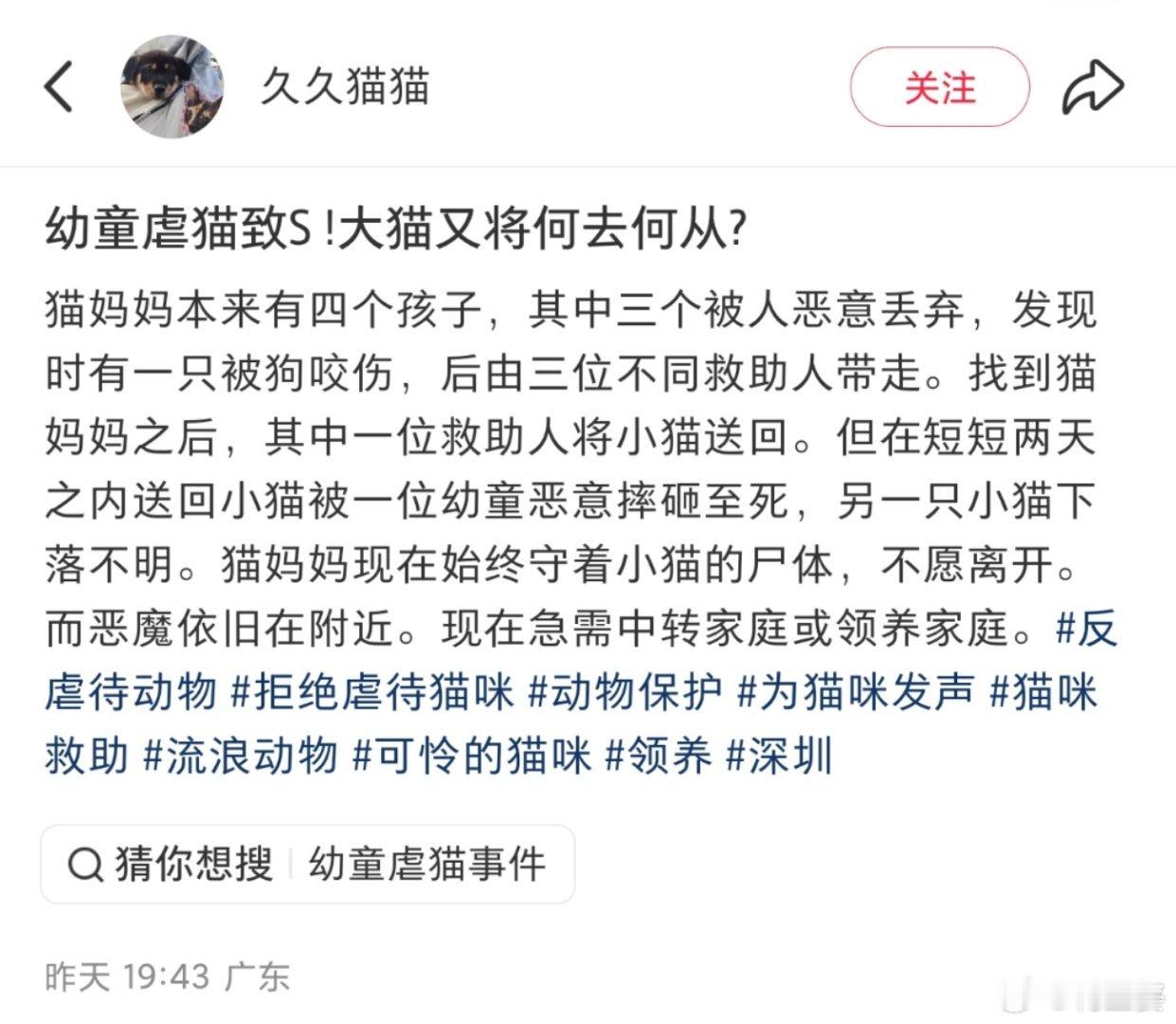-看着太难受了，希望猫妈妈可以被好心人收养，拥有一个温暖的家，不要再被伤害了也希