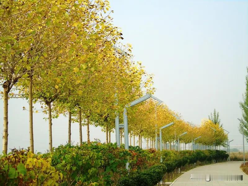 供暖费老早缴纳了，可是供暖期暖气却不热，该怎么办呢？天气热的时候，暖气不热，室