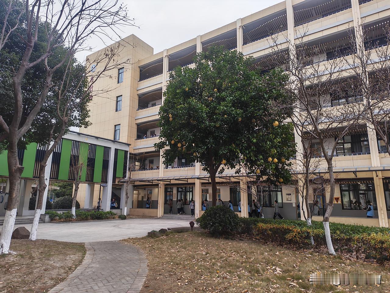 现在有些孩子没有底线。今天我正上着课，后面一男一女两个孩子杠上了。女孩趁男孩男孩