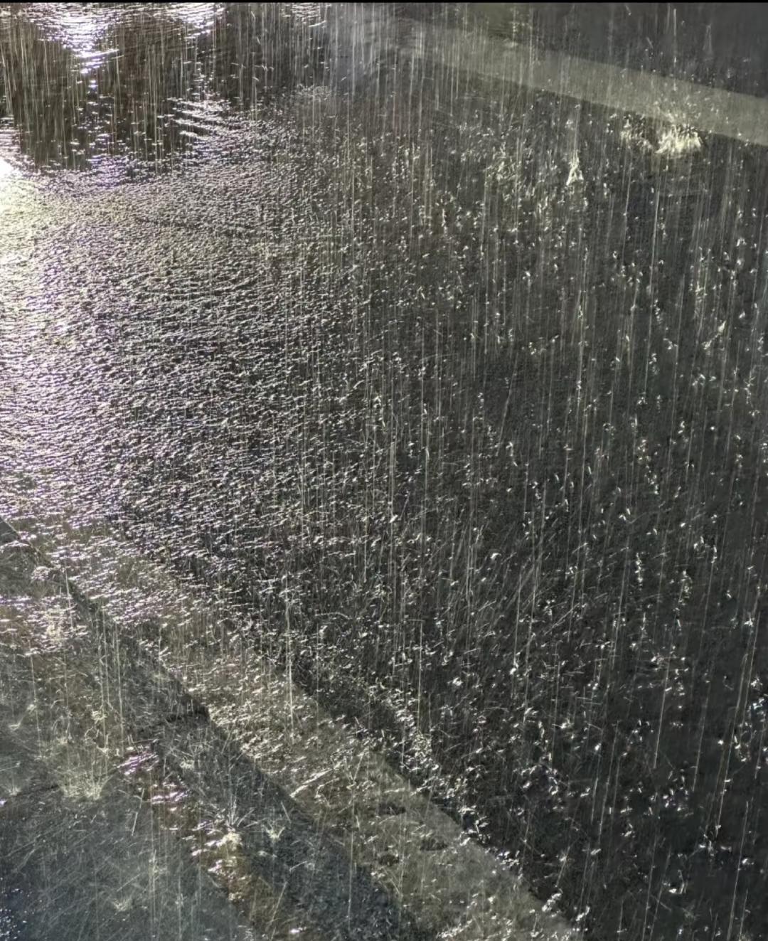 今天，郑州下着雨，我全然不顾，跑了三家银行，把存的定期全都取了，总共50多万元，
