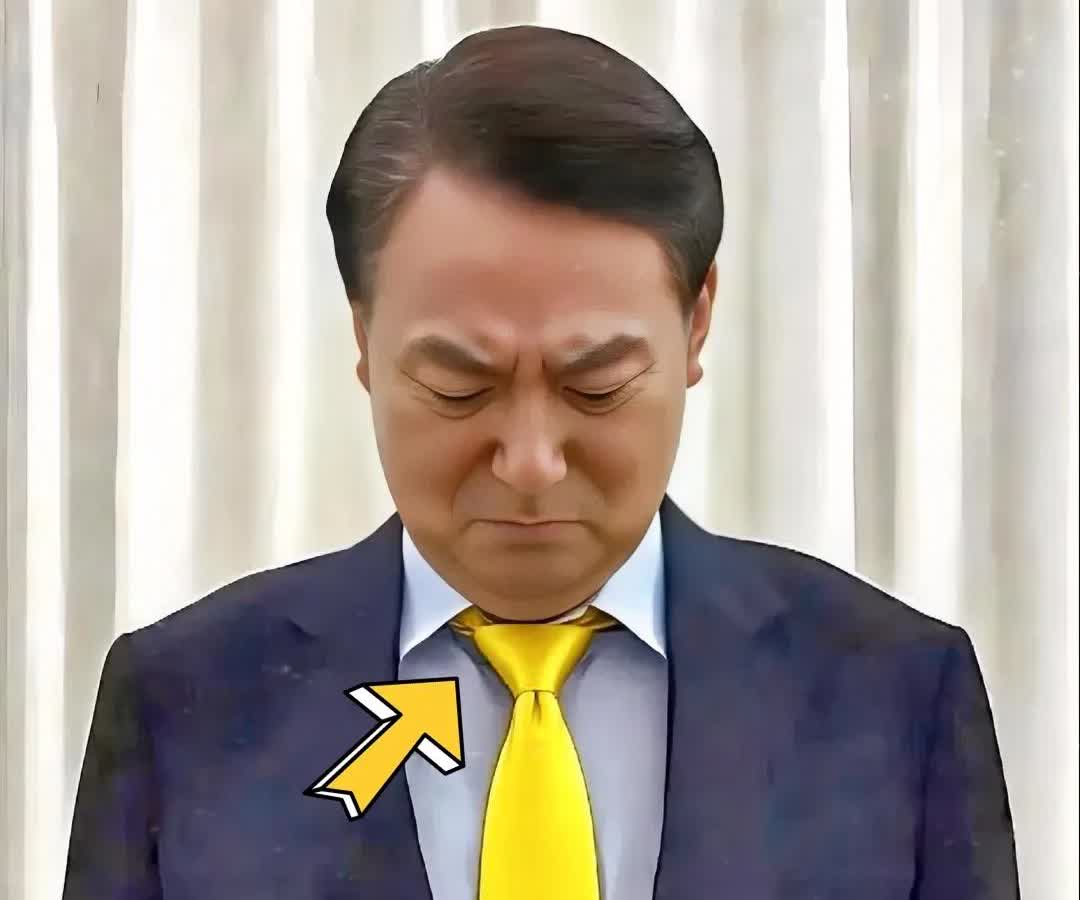 一觉醒来韩国内乱特检组出击！特检组这次逮捕现役将军金龙大，可见调查力