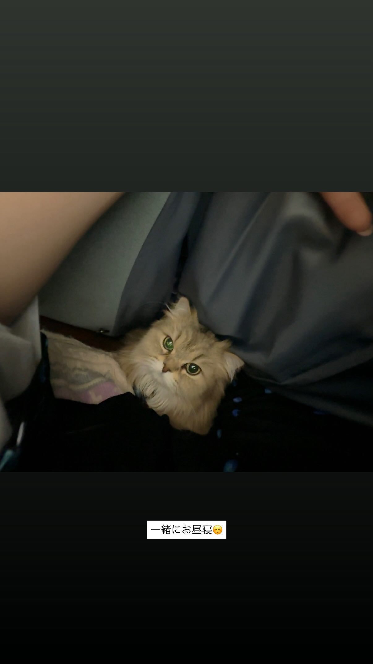 吉田綾乃クリスティー