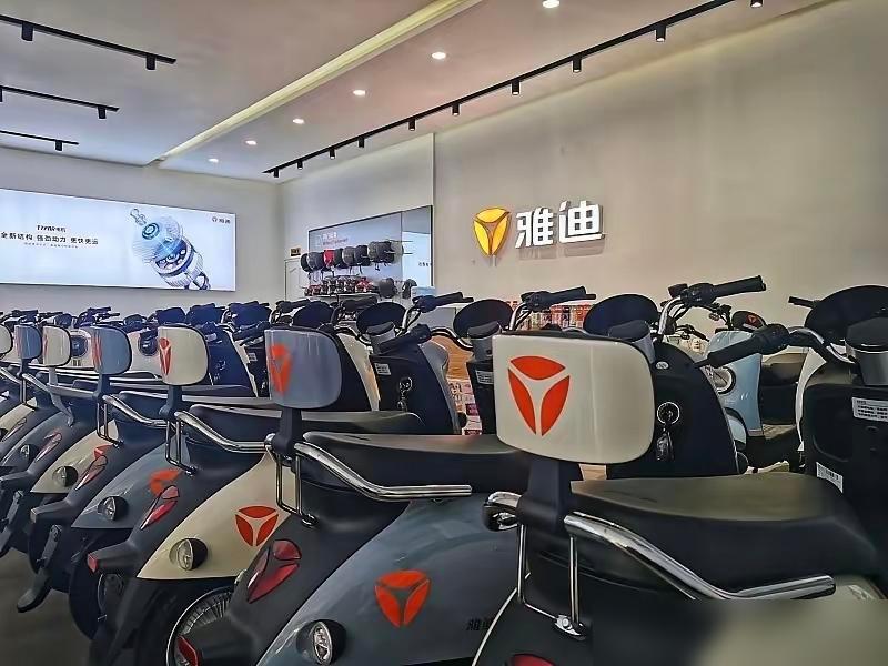我老婆买电驴是雅迪，4000元。我买的是不出名的绿源2600其实这价格差在电