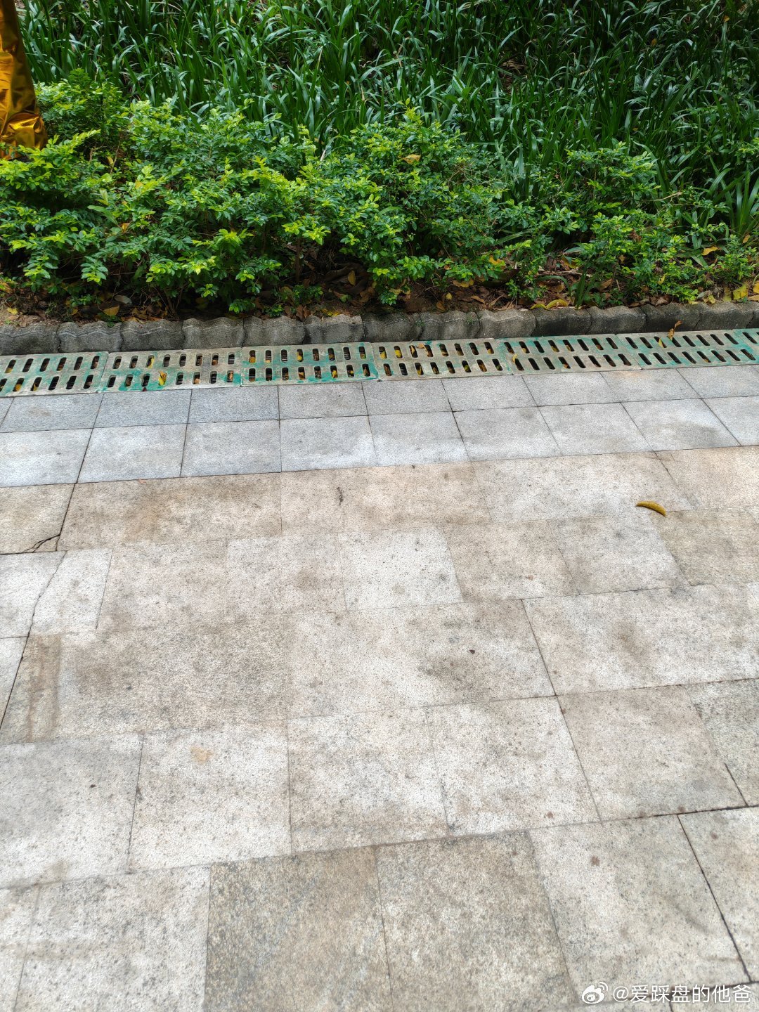 不睡懒觉了，开始锻炼，目标减20斤。