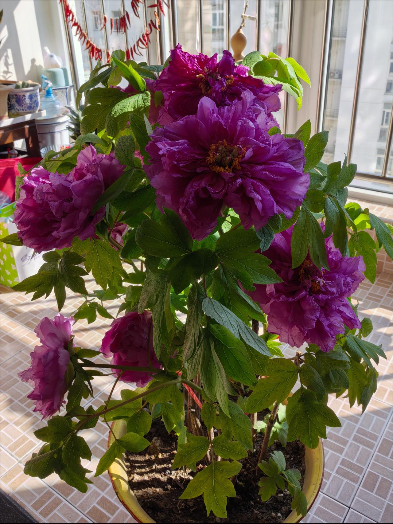 退休以后，我再也不过那种抠抠搜搜的节约生活了。好朋友小张去年退休了，每个月有