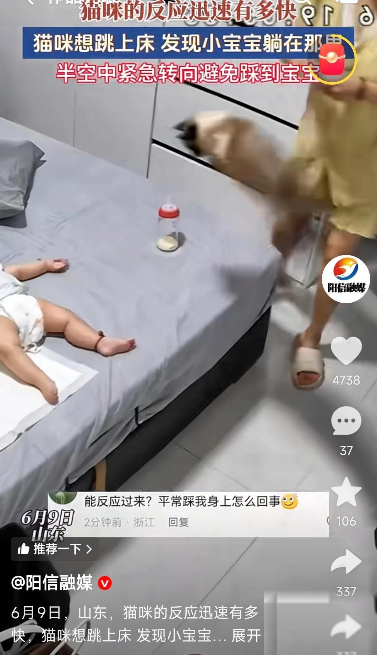 山东，一只猫咪想跳上床，腾空那一刻突然发现小主人躺在床上，硬是把自己扭成一团，生
