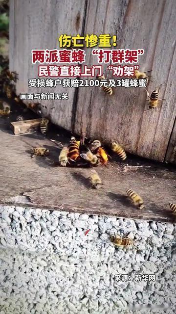 民警出警遇到这辈子最离谱的活！不是劝大妈吵架，不是找丢的狗，是帮业主家阳