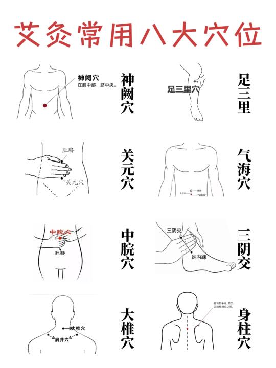 艾灸常用八大穴位