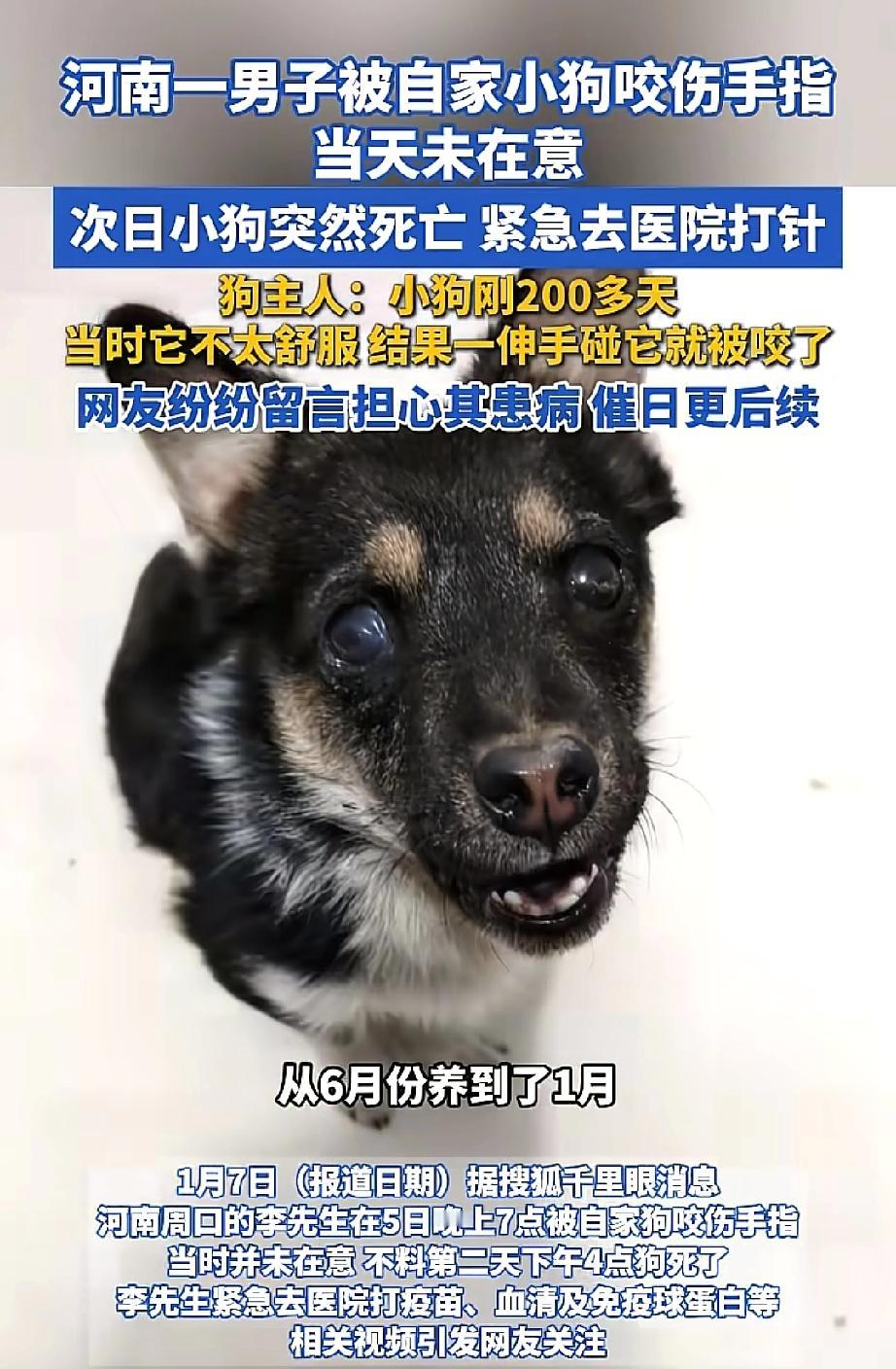 后怕！河南李先生养了条狗，晚上七点回家后，发现狗状态不佳。他上前抚摸，不料被狗狠