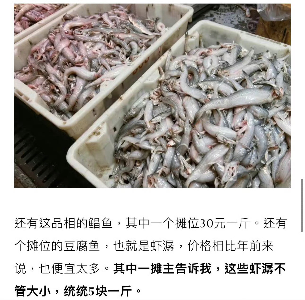 海鲜5元一斤宁波一村庄火了网友去一海鲜市场买买买，海鲜最低竟然只要5元1斤！满