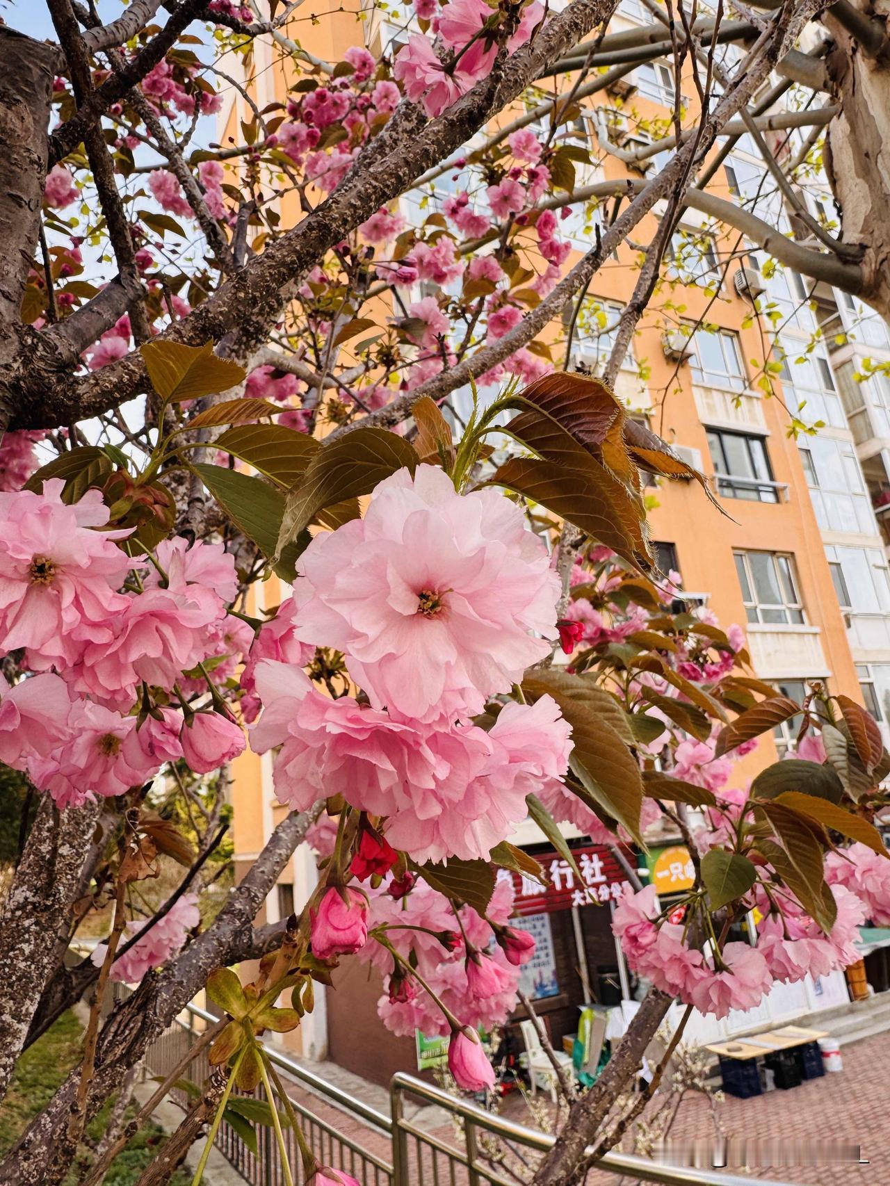 我今年61岁，每月退休金2774元，因为退休金少，我养成了这些习惯：1，我在