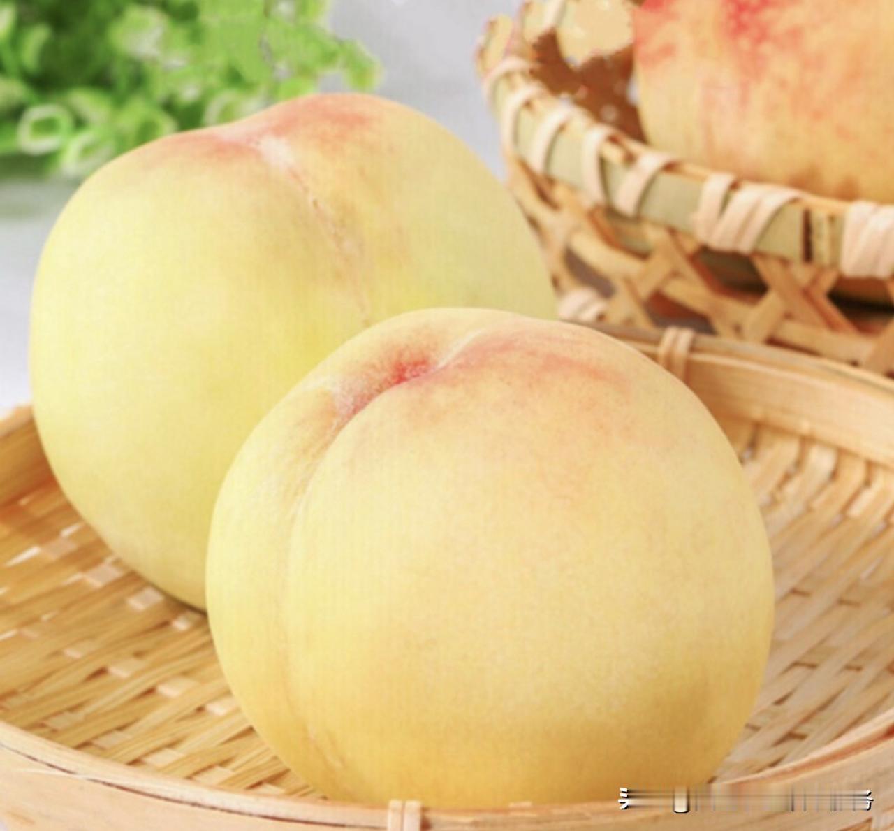 桃树根结线虫病用什么药?桃树根结线虫是危害桃树根系的主要土传病害，受害根系形成